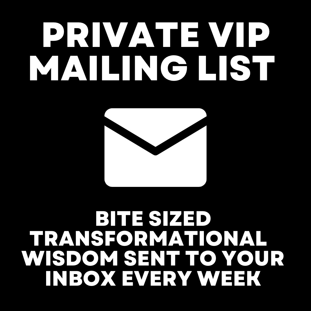 vip mailing list icon website